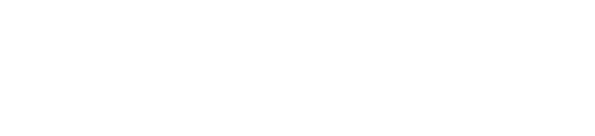 Logo Viveo